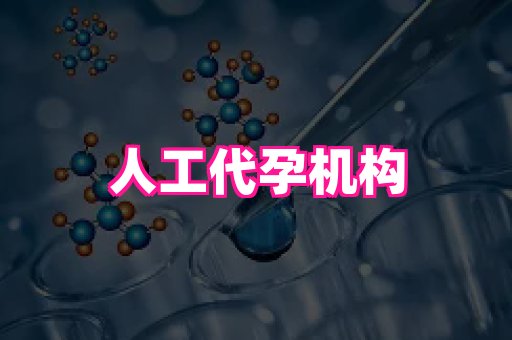 北京助孕网 2