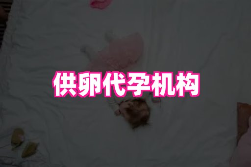 北京助孕网 3