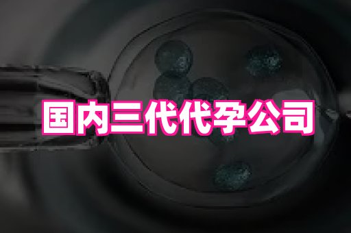 北京助孕网 4